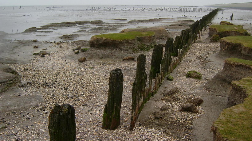 waddenzee kust.jpg